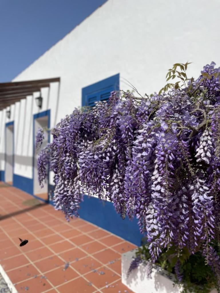 Bed and Breakfast Montes De Charme Avis Esterno foto